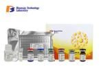96 / 48 Wells Human ELISA Kit CNKSR1 / Human Connector Enhancer Of Kinase