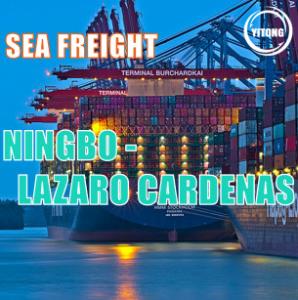 Quality Ningbo to Lazaro Cardenas Global Sea Freight Logistics Direct line wholesale