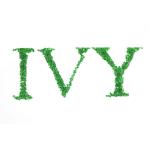 IV0.75-1.1 Recycled PET Resin GRS Certified Customizable