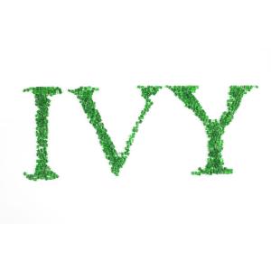 Quality IV0.75-1.1 Recycled PET Resin GRS Certified Customizable wholesale