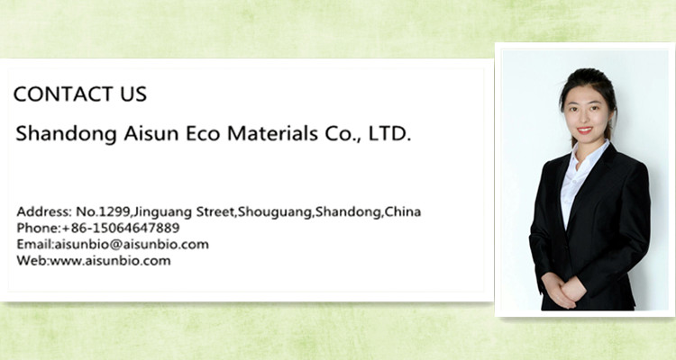 Compostable Carrier PLA Packaging Bag Corn Degradable ODM