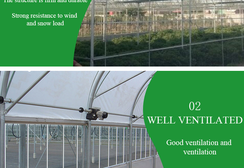 Commercial Film Covered Single Tunnel Greenhouse for Maximizing Agricultural Output
