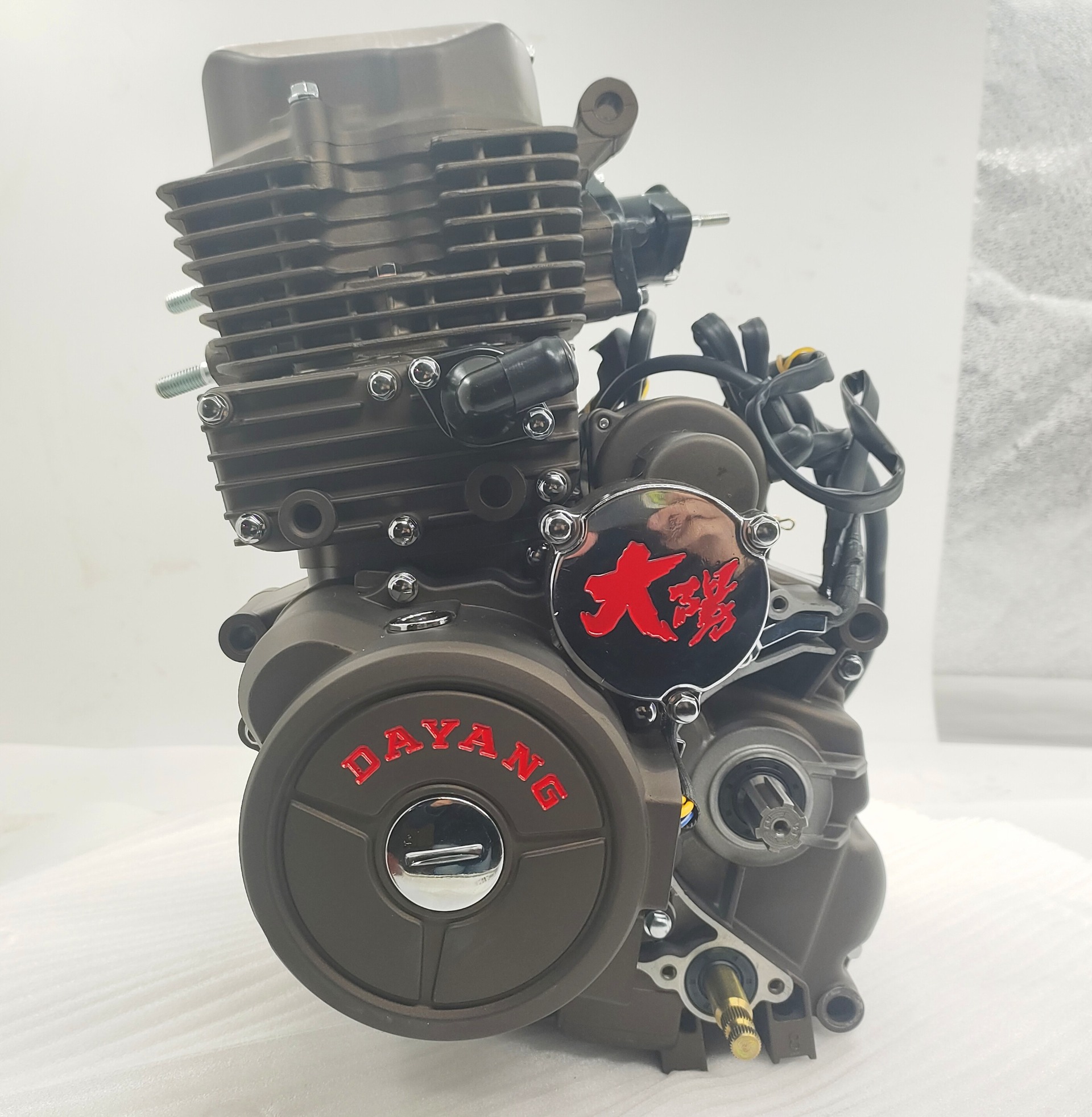 DAYANG LIFAN Motorcycle Engine Assembly Single Cylinder Four Stroke Style with Pump