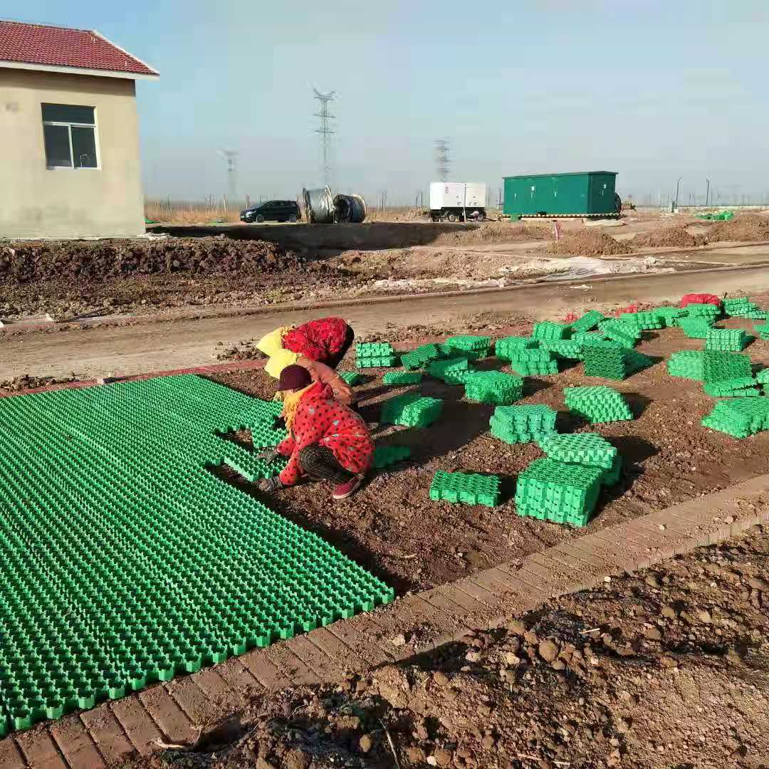 Black Green HDPE Plastic Grass Paver Grid for Parking Lot Planting Durable and Strong