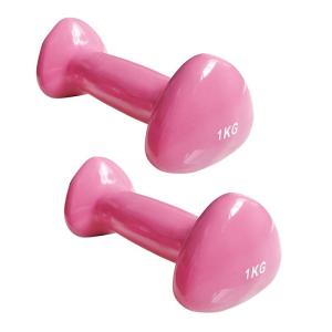 Quality Cast Iron Gym Equipment Dumbbells Vinyl Dipping Neoprene Coated Colorful wholesale