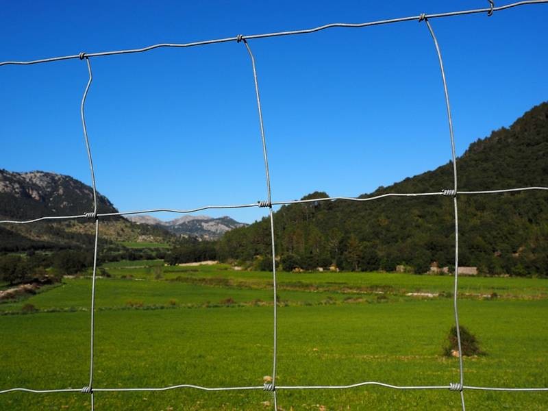 Galvanized Steel Wire Mesh Fence Animal 72 inch field fence Zoo Wild Fencing Roll