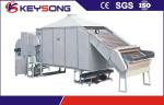 Multi - Layer Electric Food Dryer Machine , Puffed Snacks Feed Small Food