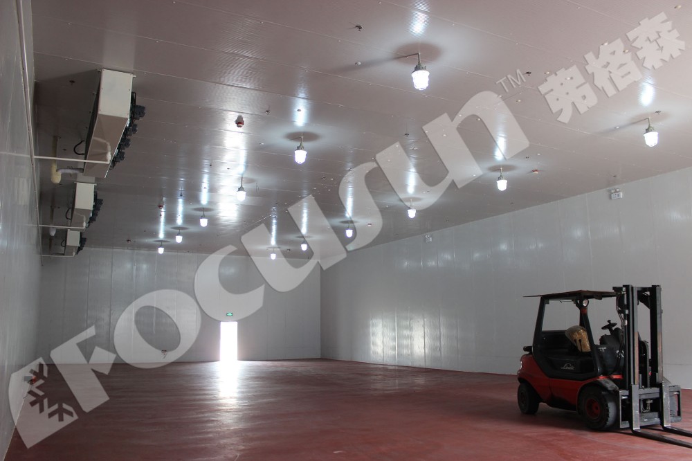 Energy-Saving Cold Rooms for Fruit and Vegetables Convenient Frozen Food Storage