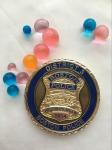 Coin Manufacturer Souvenir Metal Custom Police Challenge Coin