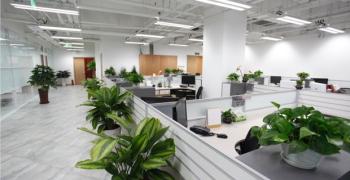 Ultrasoft International Co., Ltd.