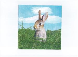 Quality OEM 18gsm Bunny Rabbit Printed Paper Napkin For Wedding wholesale