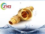Brass Forging Body Stainless Steel Filter Health Front Water Pipe Filter