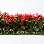 PE PP Outdoor Artificial Grass 35mm 40mm Football Ground