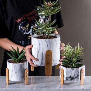 Quality Table Pots Succulents Plant Pots Homewares Decorative Items Mini Cement Flower Pots Marbled Texture Planters wholesale