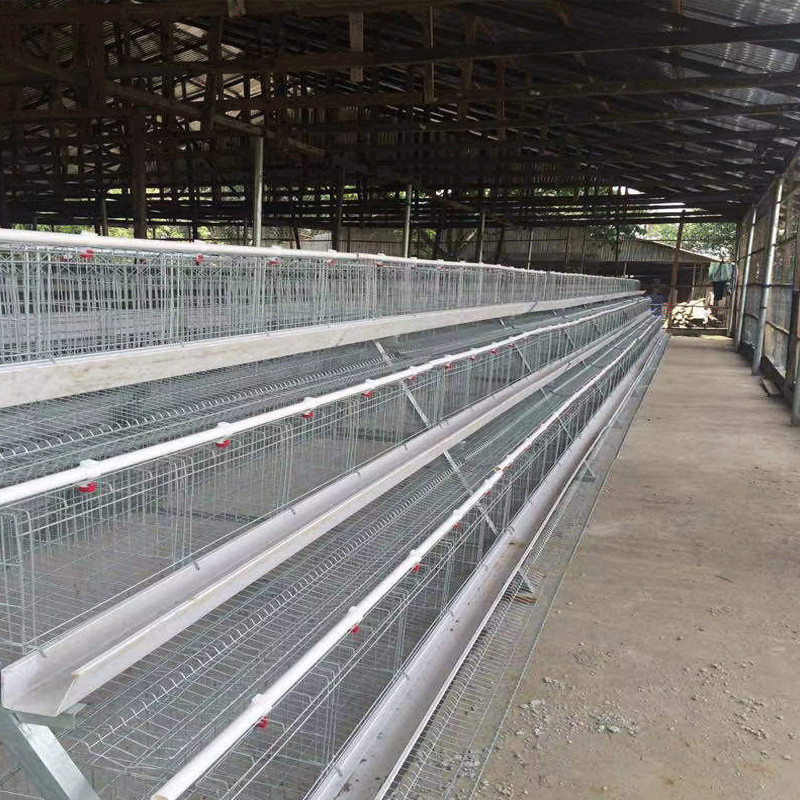 120 Birds Capacity Poultry Battery Chicken Eggs Cage New Design