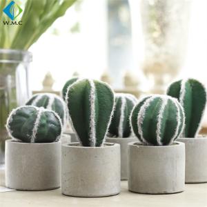 Quality 12cm 14cm 17cm Bonsai Cactus Plants , Fake Cactus Plant For Table Decoration wholesale