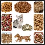 Stainless Steel Pet Food Processing Machine Manufacturing Equipment MT70