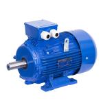 Gost Standard motor
