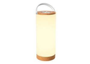 Quality Bedroom LED Atmosphere Lamp , Rechargeable Internal Battery Powered Night Light wholesale