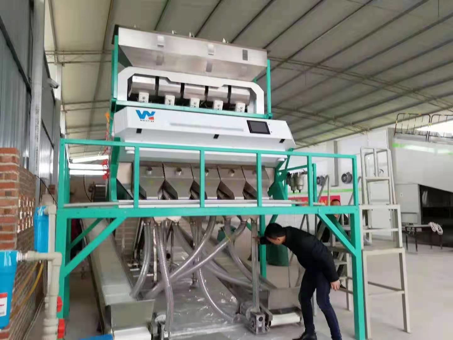 Wenyao Macadamia Color Sorter Nuts Color Selector Machine Cashew Nuts Sorting Machine