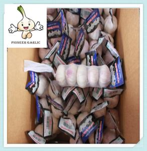 Quality Chinese organic fresh garlic good quality farmer white dry garlic wholesale