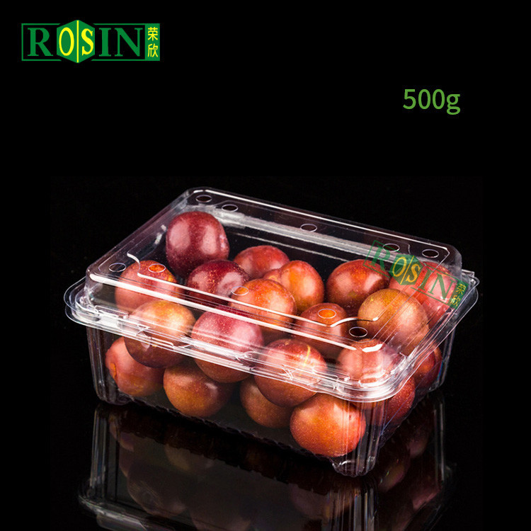 Custom Transparent Plastic Disposable Clamshell Flower Seedlings Transport Blister Pack for Flower Green Plants