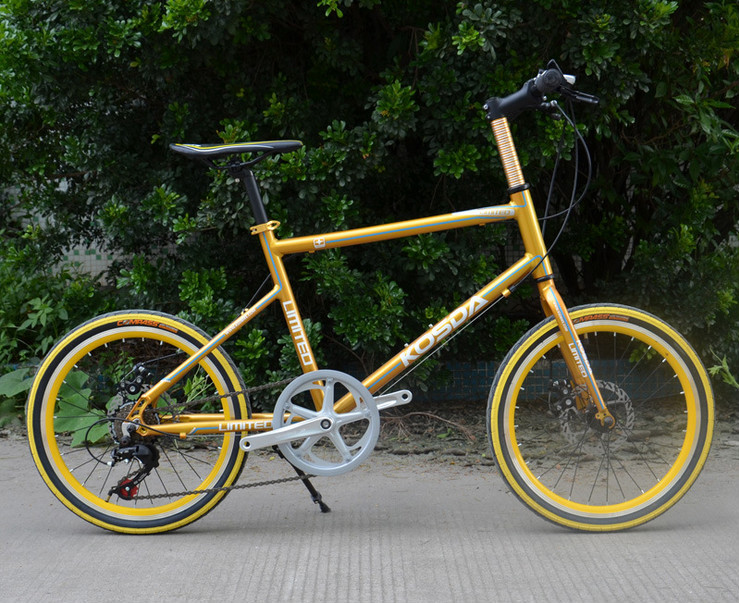 Ladies Aluminum 7 Speed 24 Inch Wheel Electric Bike