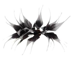 Quality Millinery Stripped Goose Feather Mounts , Dried Flowers Feathers 10x15cm wholesale