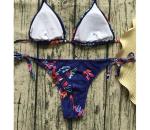 Sexy Leopard Bikinis 2018 Micro Bikini Push Up Thong Bikini High Cut swimsuit