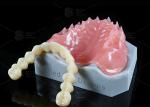 Professional Dental Practice Milled Acrylic Denture with CAD/CAM Technology