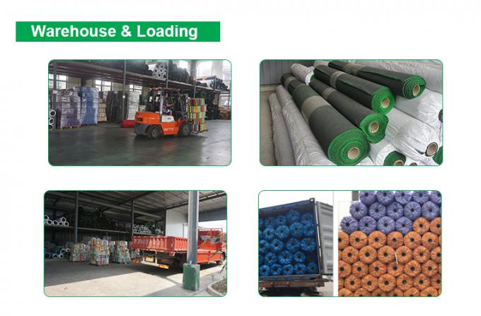 Indoor Training Gym Artificial Turf , PE Curled Yard 20mm Artificial Turf