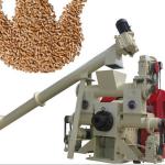Round Stick Shape Wood Sawdust Mechanical Stamping Machine for Biomass