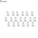 Beekeeping Equipment Apiculture Tool White Queen Bee Cell Cover