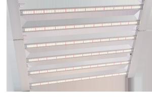 Quality 2.5umol/J 600w Led Grow Lights wholesale