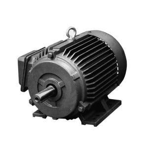 Quality 3 Three Phase Squirrel Cage Induction Motor 10hp wholesale