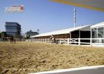Indoor Horse Aluminum Arena Sport Event Tents Customized Size
