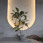 Insect Resistant Lifelike Artificial Plants Artificial Datura Tree For Home