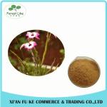 Top Quality Dendrobium Officinale Extract Dendrobine 1% - 98%