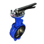 Ductile Iron Body Concentric Design Wafer Butterfly Valve for Straight Flow