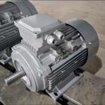 IE4 Three Phase AC Motor 0.75kw-315kw High Efficiency AC Motor 1000rpm 1500rpm