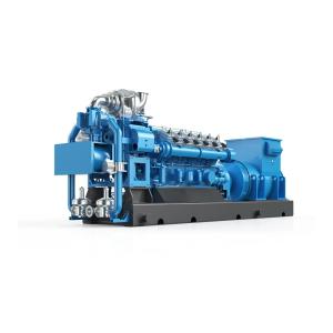 Quality 50Hz Biogas Electricity Generator 400V With Digital Control Panel wholesale