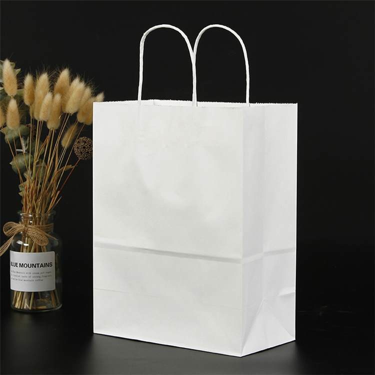 Different Types Kraft Paper Gift Shopping Bags With Twisted Handles