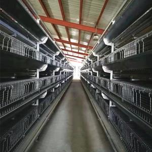 Quality 200-300 Birds / Set Baby Chick Cage Hot Dip Galvanized wholesale