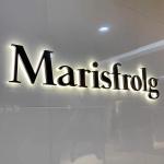 Factory Custom Gold Color Stainless Steel Shop Brand Studio Name Golden 3D