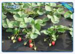 3% UV Sunlight Permeability Non Woven Landscape Fabric With Certificate