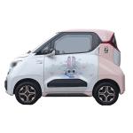 Mini New Energy EV Hatchback Electric Cars Vehicles Wuling Nano