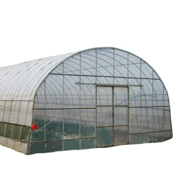 Single-Span Agricultural Greenhouses with Film Cover The Perfect Growing
