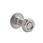 Wholesale Stainless Steel Coach Bolt And Nut Of Ss304 Ss316 A2-70 A4-80