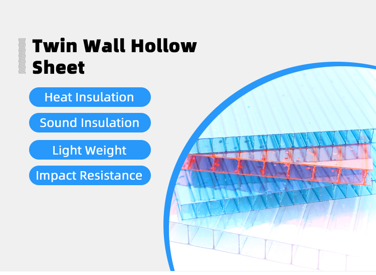 Twin Wall Polycarbonate Hollow Sheet 4mm 6mm 8mm 10mm 12mm Polycarbonate Sheet