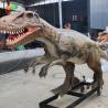 Buy cheap 4Meters Life Size Animatronic Dinosaurs Sunproof Allosaurus Model For Exhibition from wholesalers